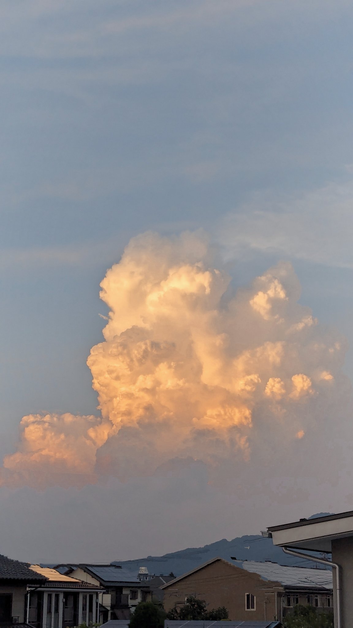 転スラ好き(⇀↼)