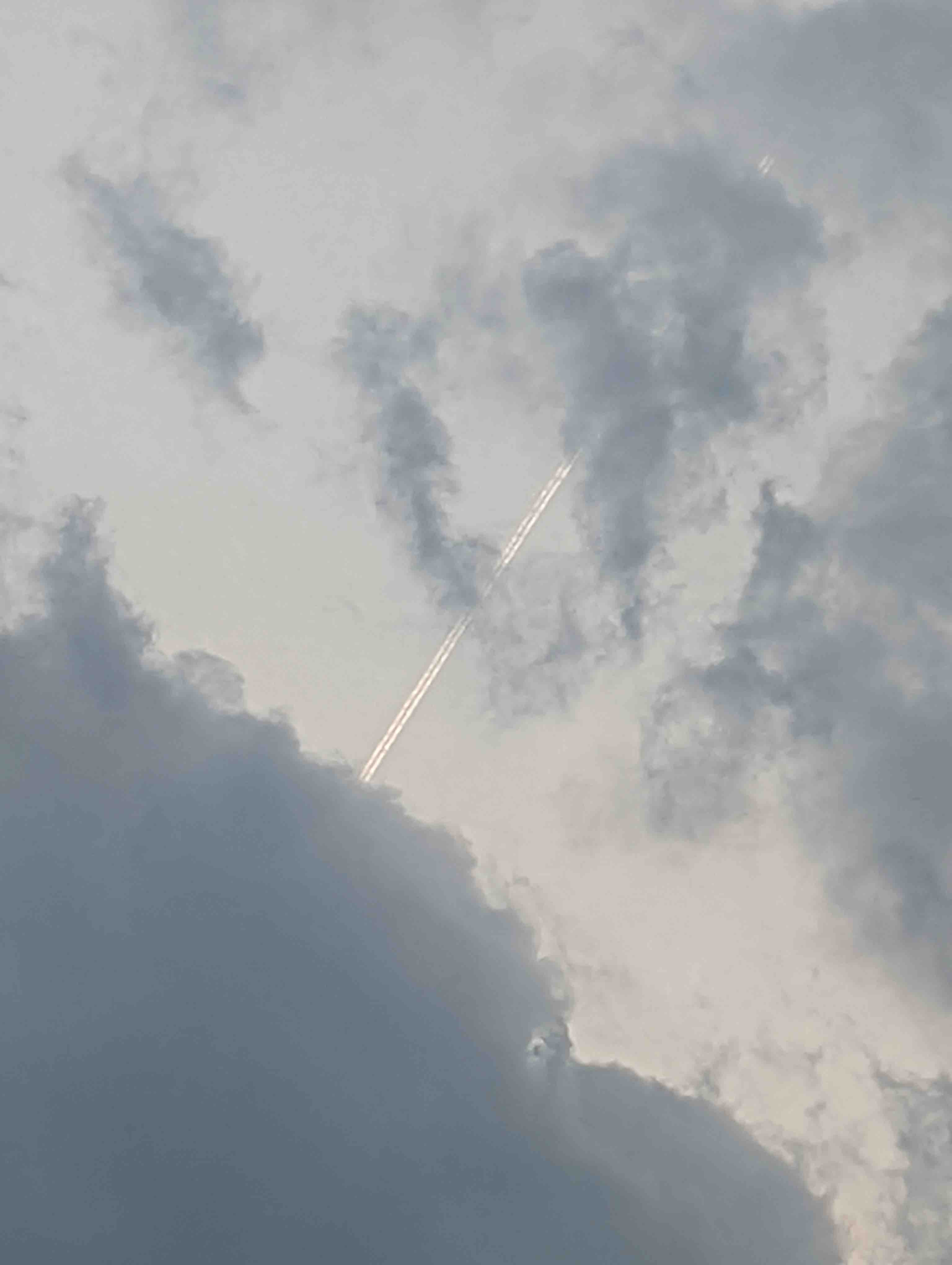 にいな フォロバ100