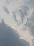 にいな フォロバ100