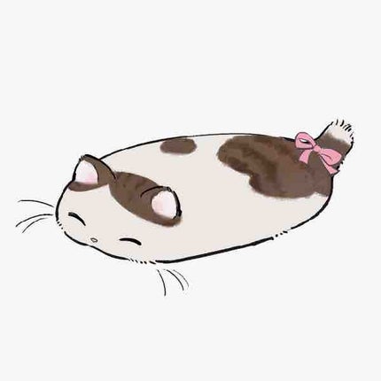 さーこ