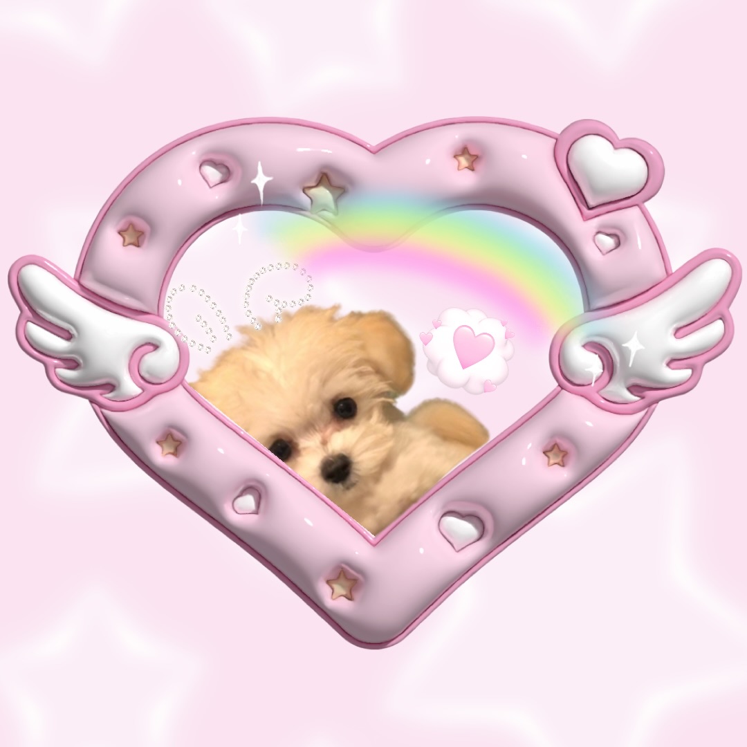 ふうちゃん🫧🩵フォロバ