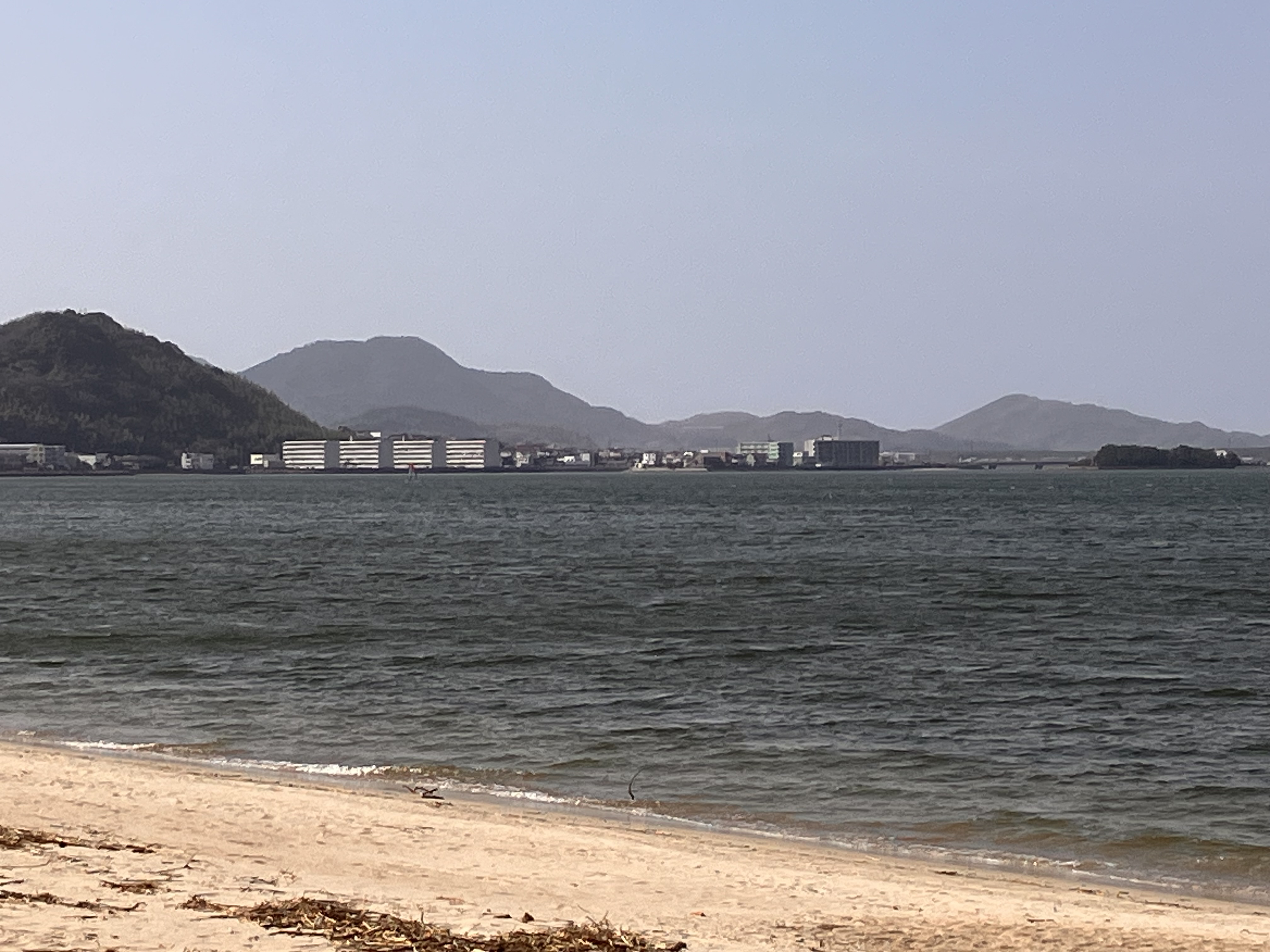 マカデミア(フォロバ0）