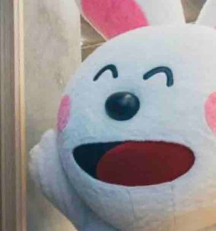 ビスケットパーティ