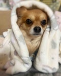 みん