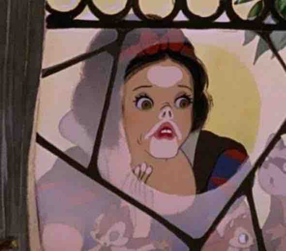 おおくまもどき