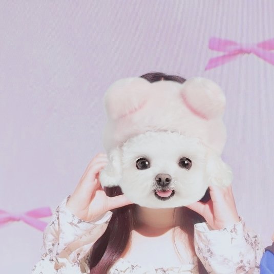 さ く て ぃ ん 🌷