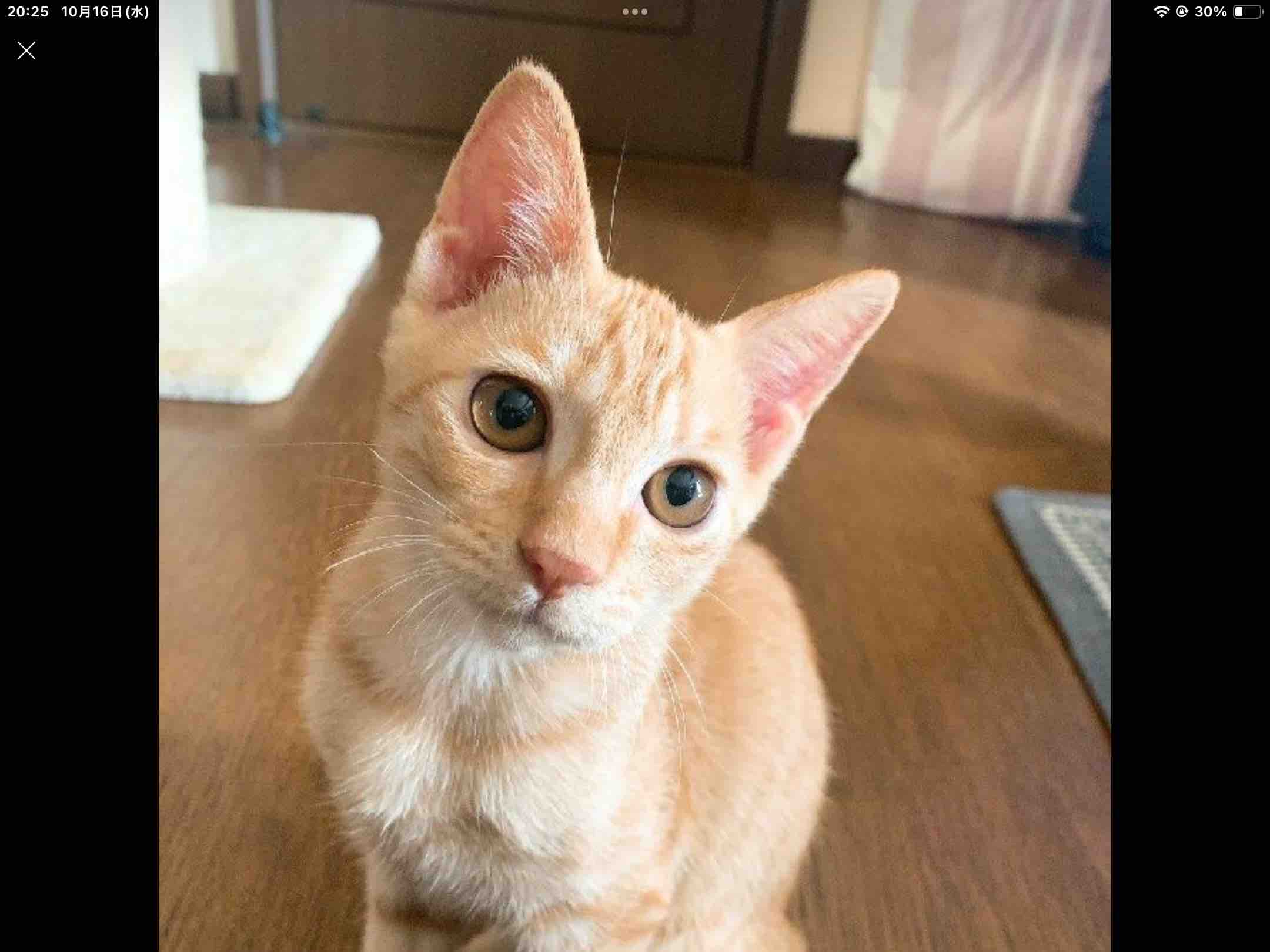 メイク知りたいさん