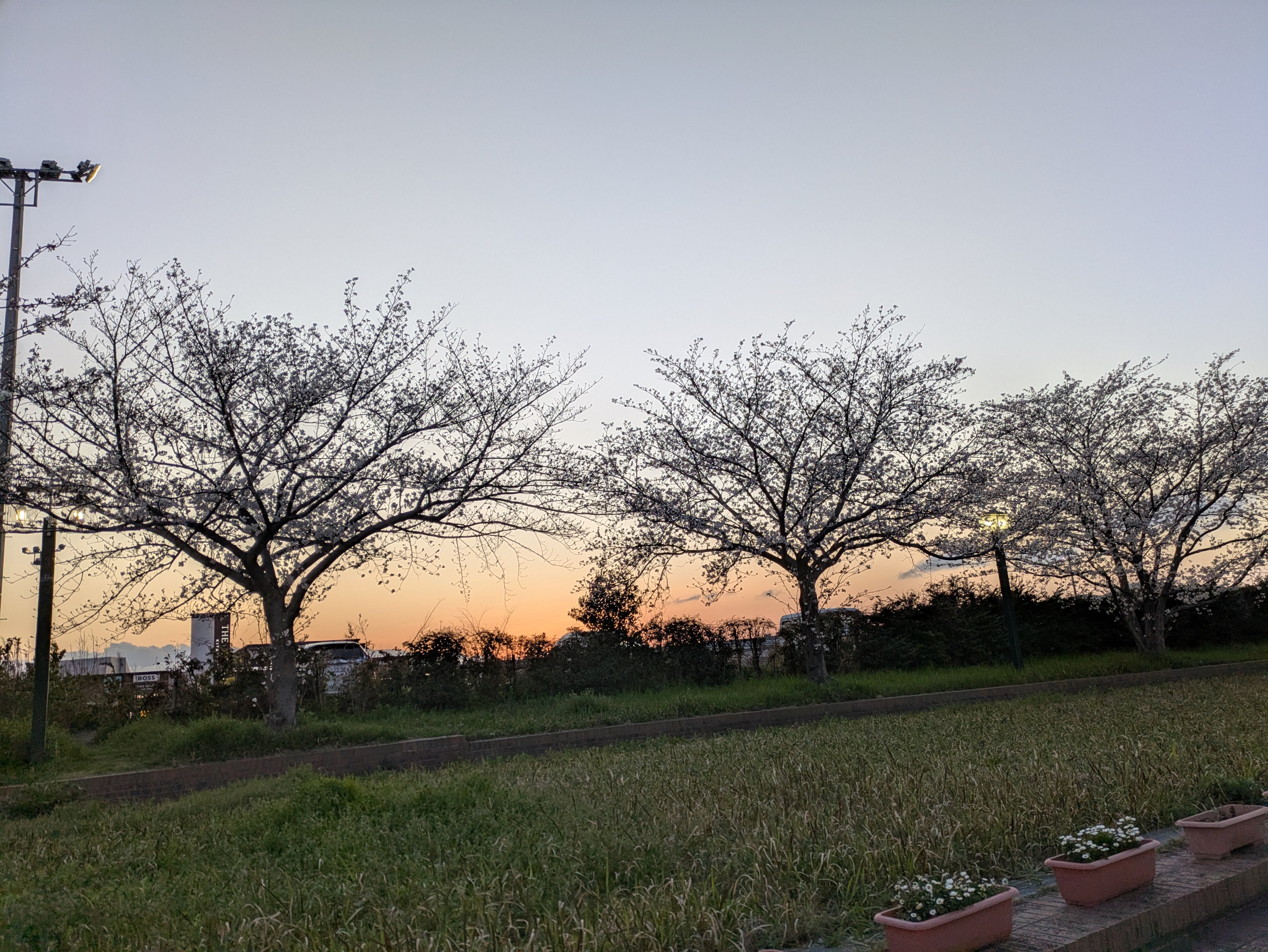 smii (フォロバ100*