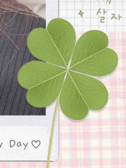 月明かりどじょう🐍