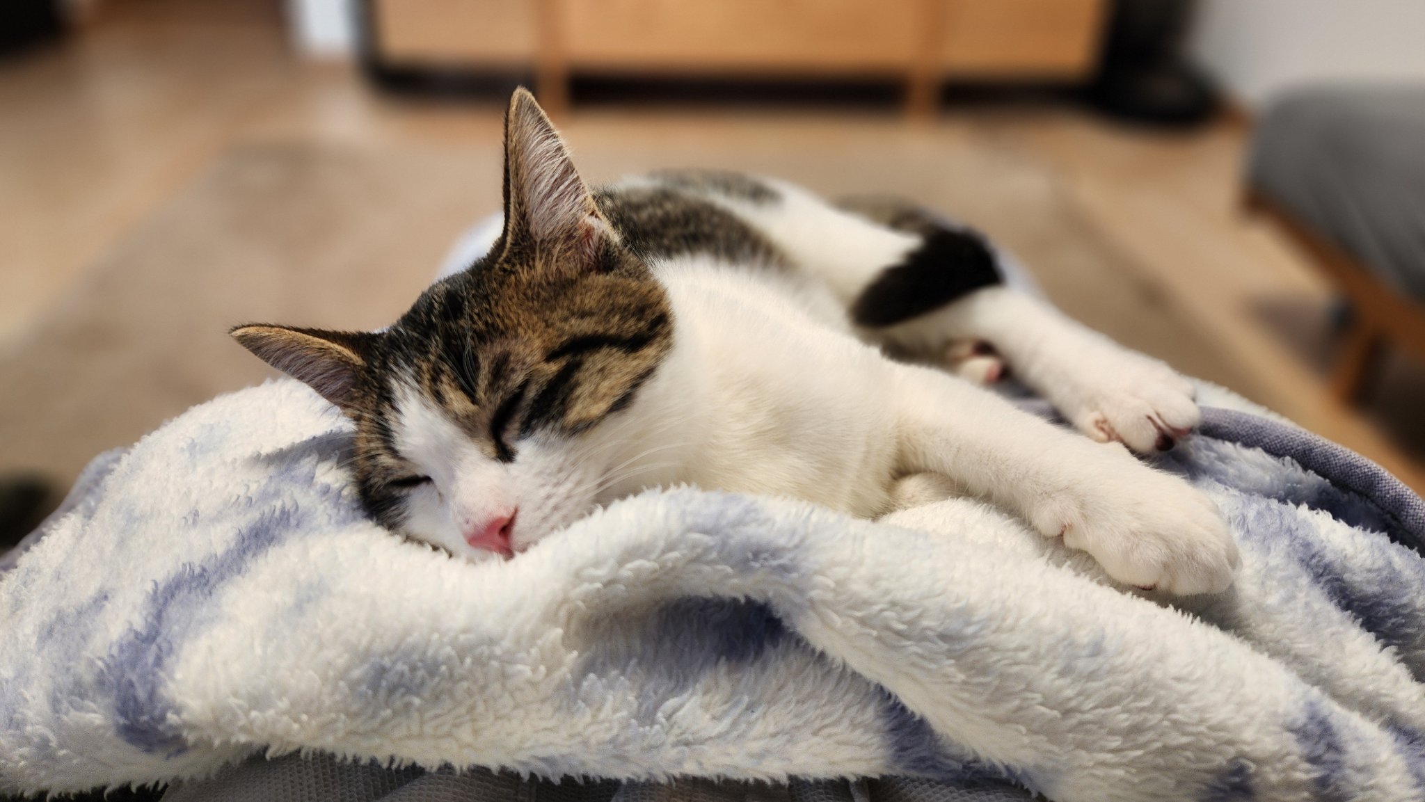 おちゃこ✴フォロバ