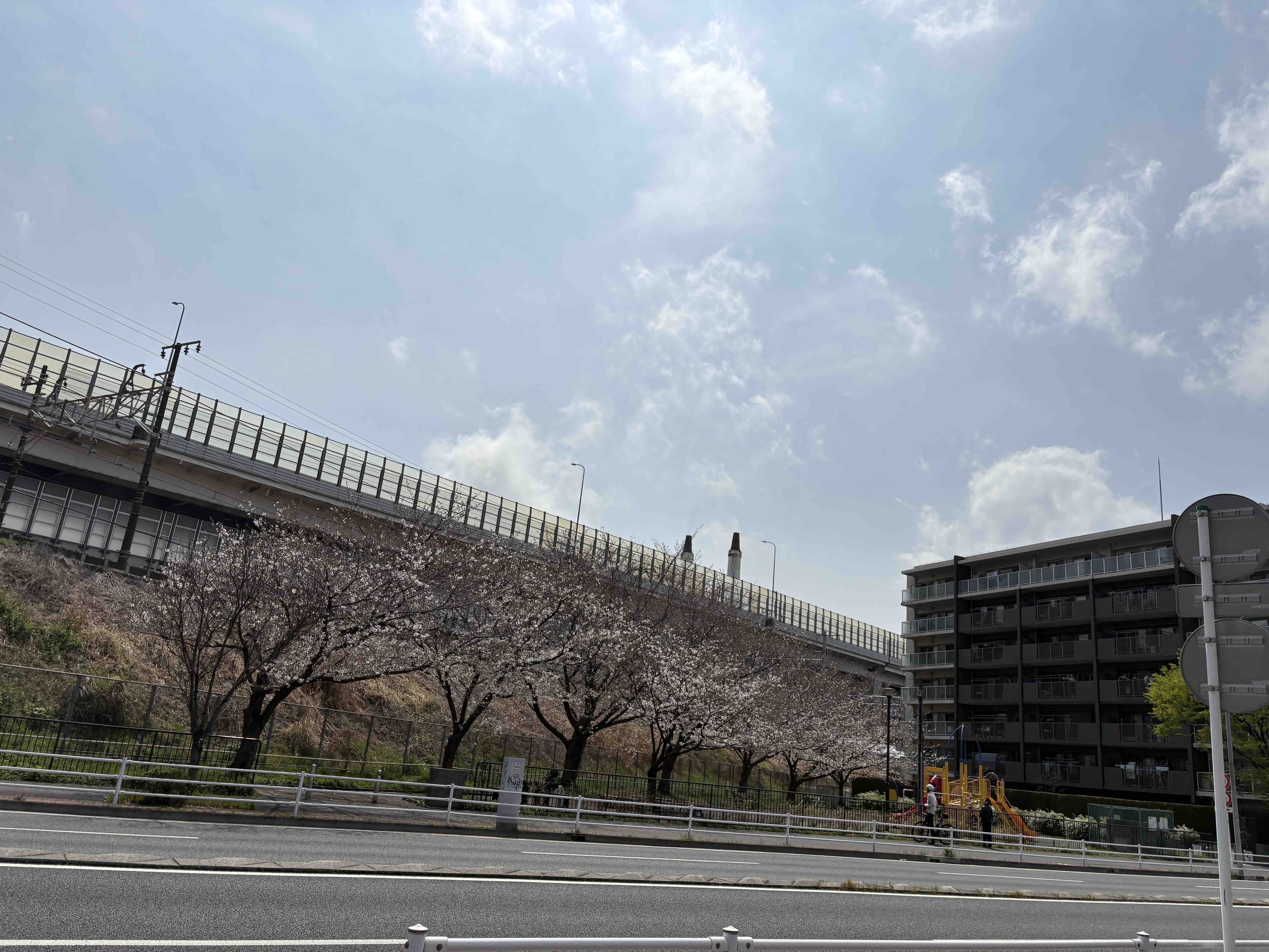 デザートは別腹🍓