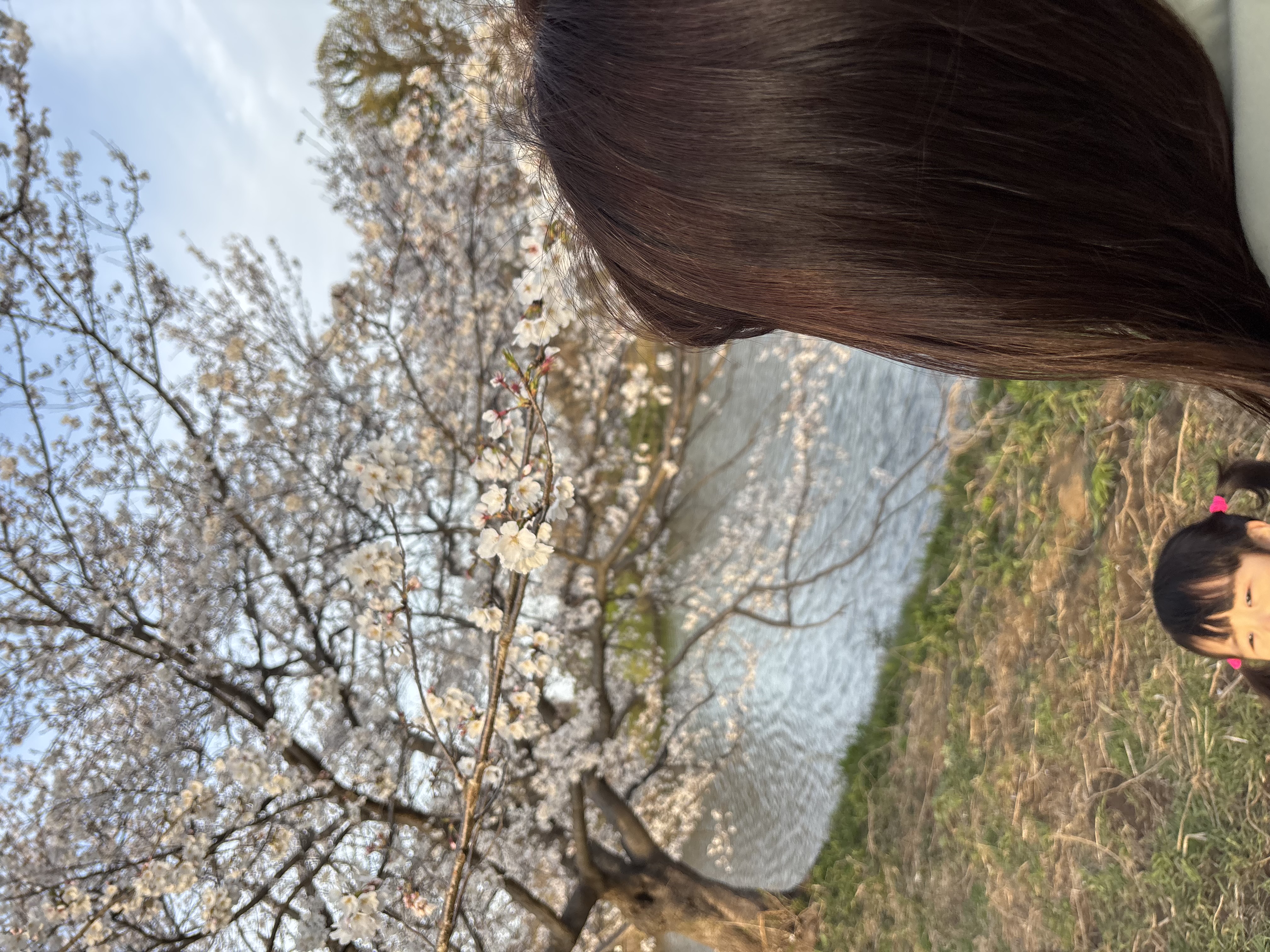 aya❁⃘*.ﾟフォロバ100