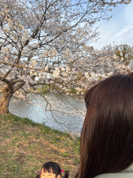 aya❁⃘*.゚フォロバ100
