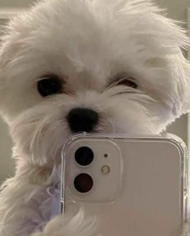 yuki/フォロバ◎