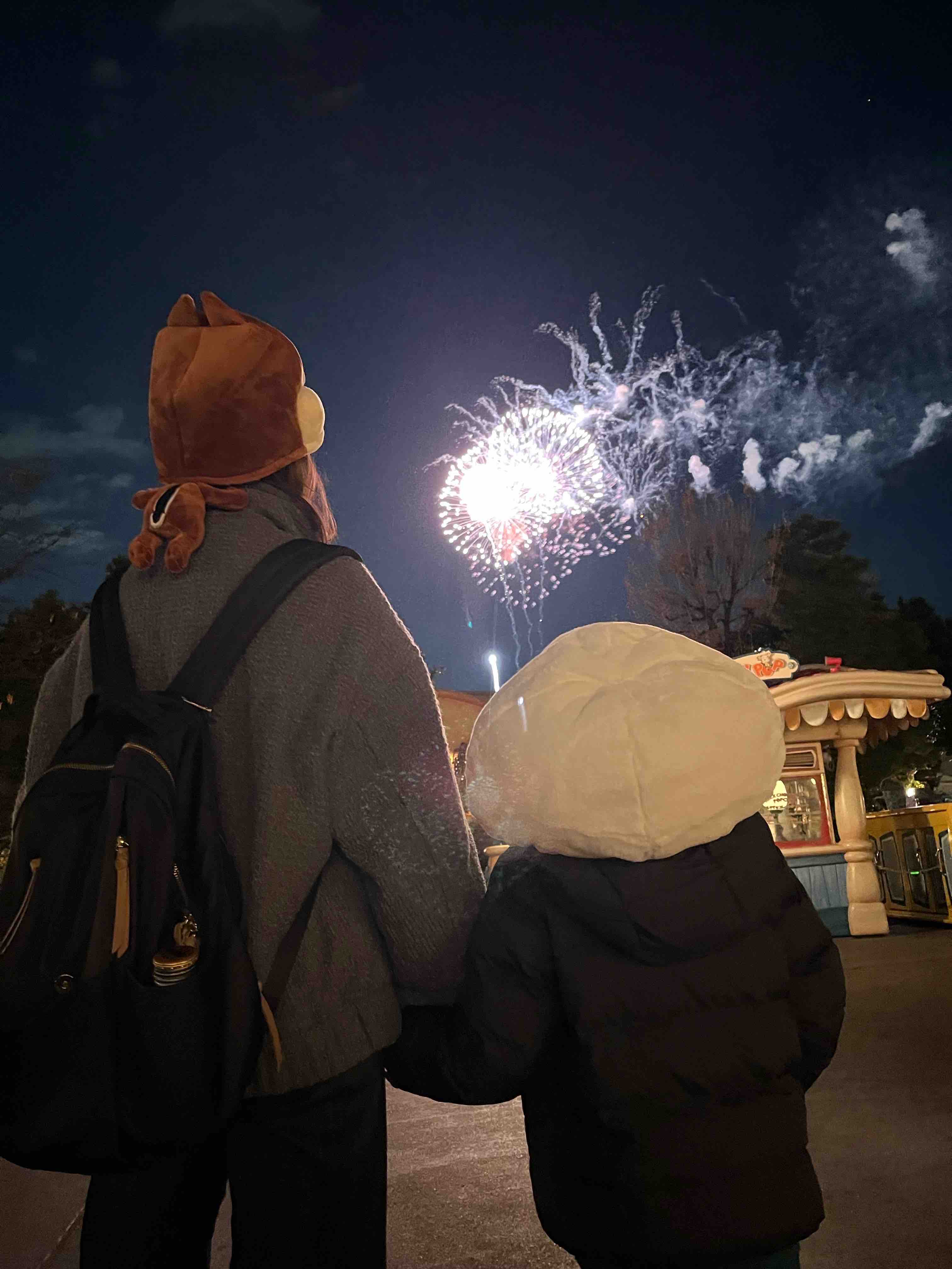 みいる☆フォロバ100