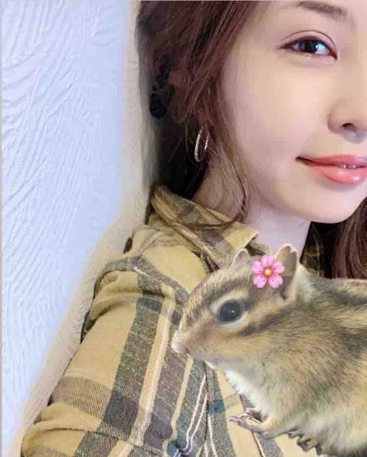 🐷えむ🐷フォロバ✊´-します