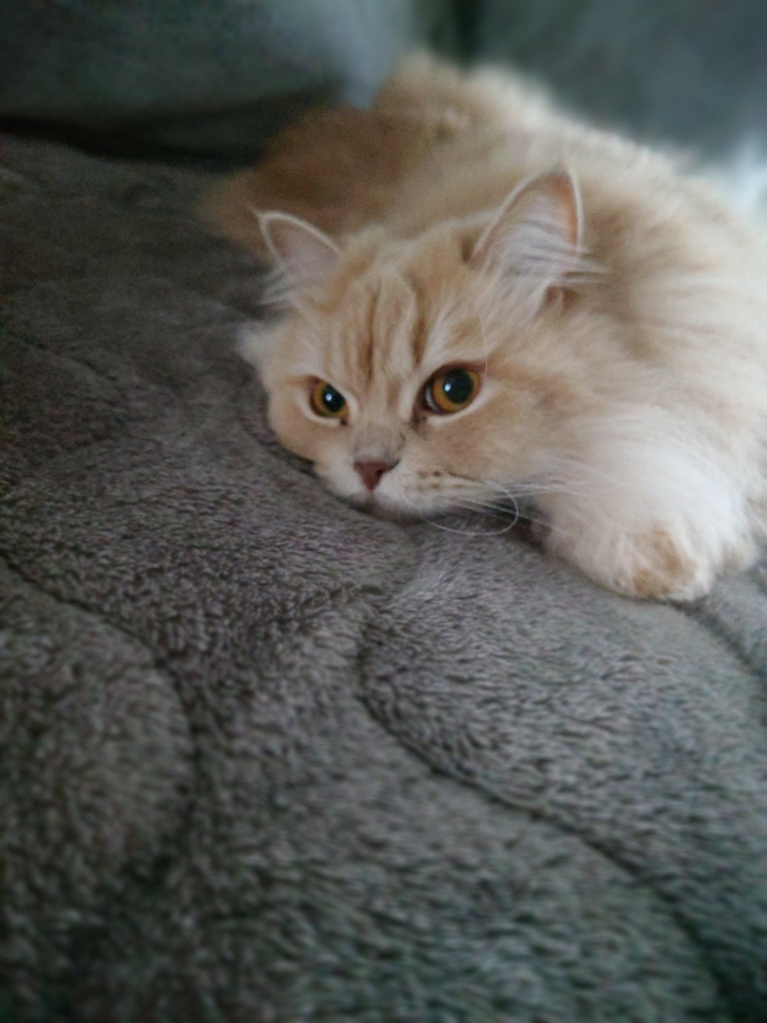 初心者🔰マークの感想