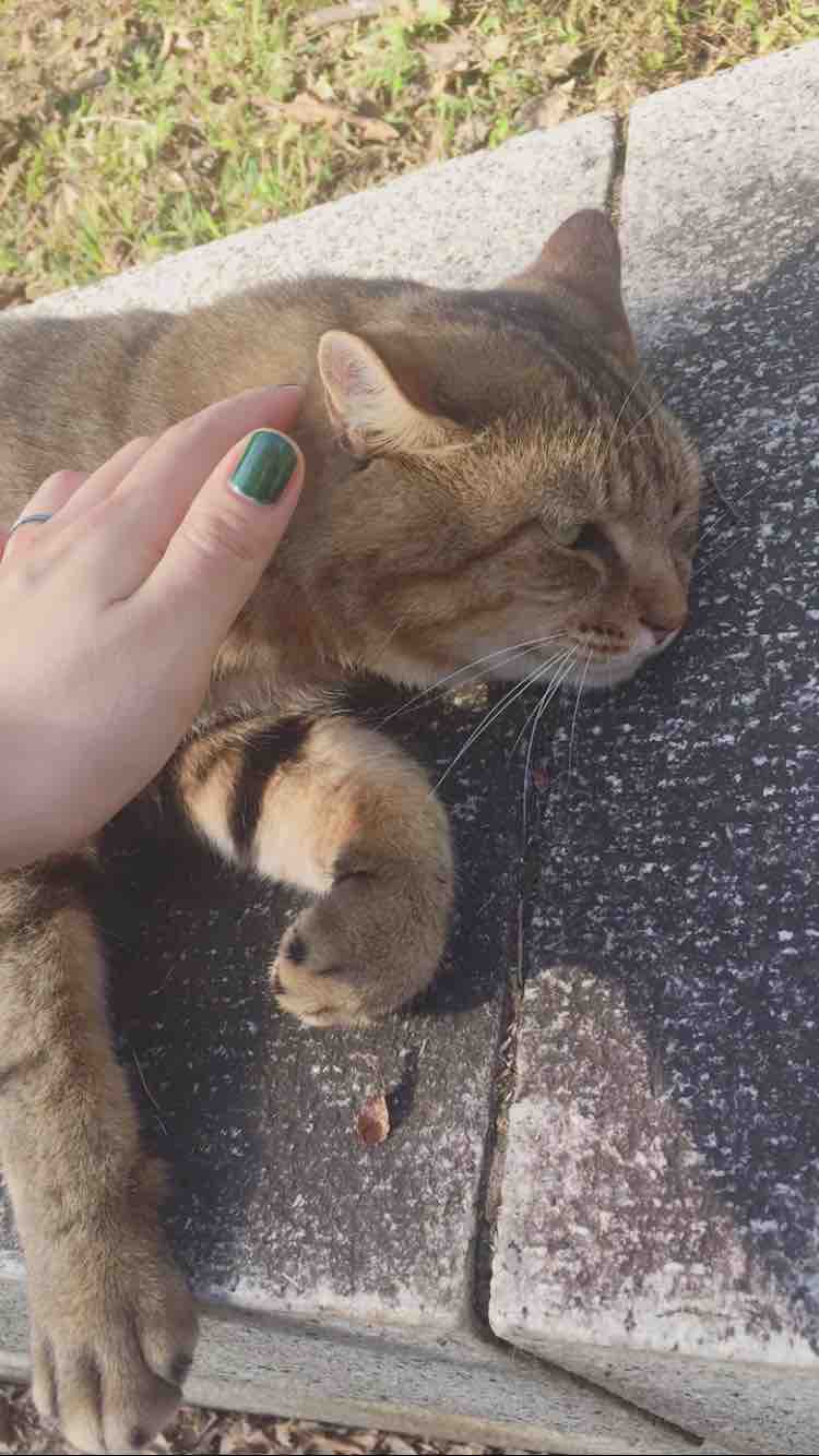 香＊フォロバ100