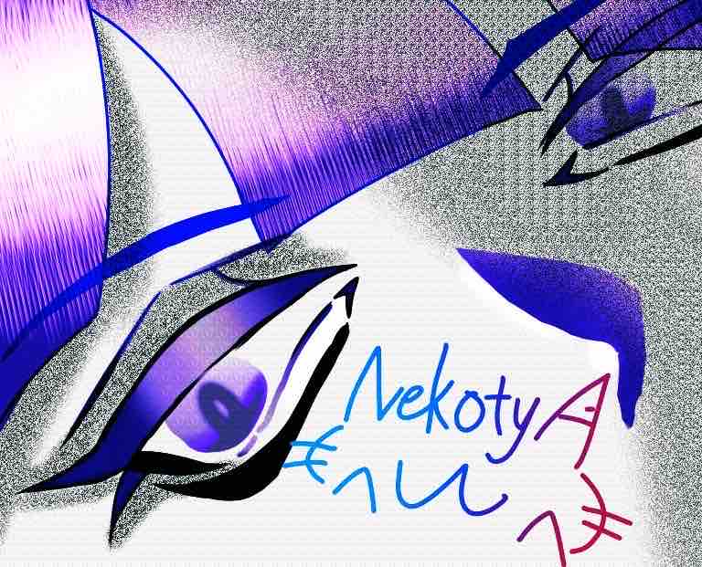 ねこちゃ。の家