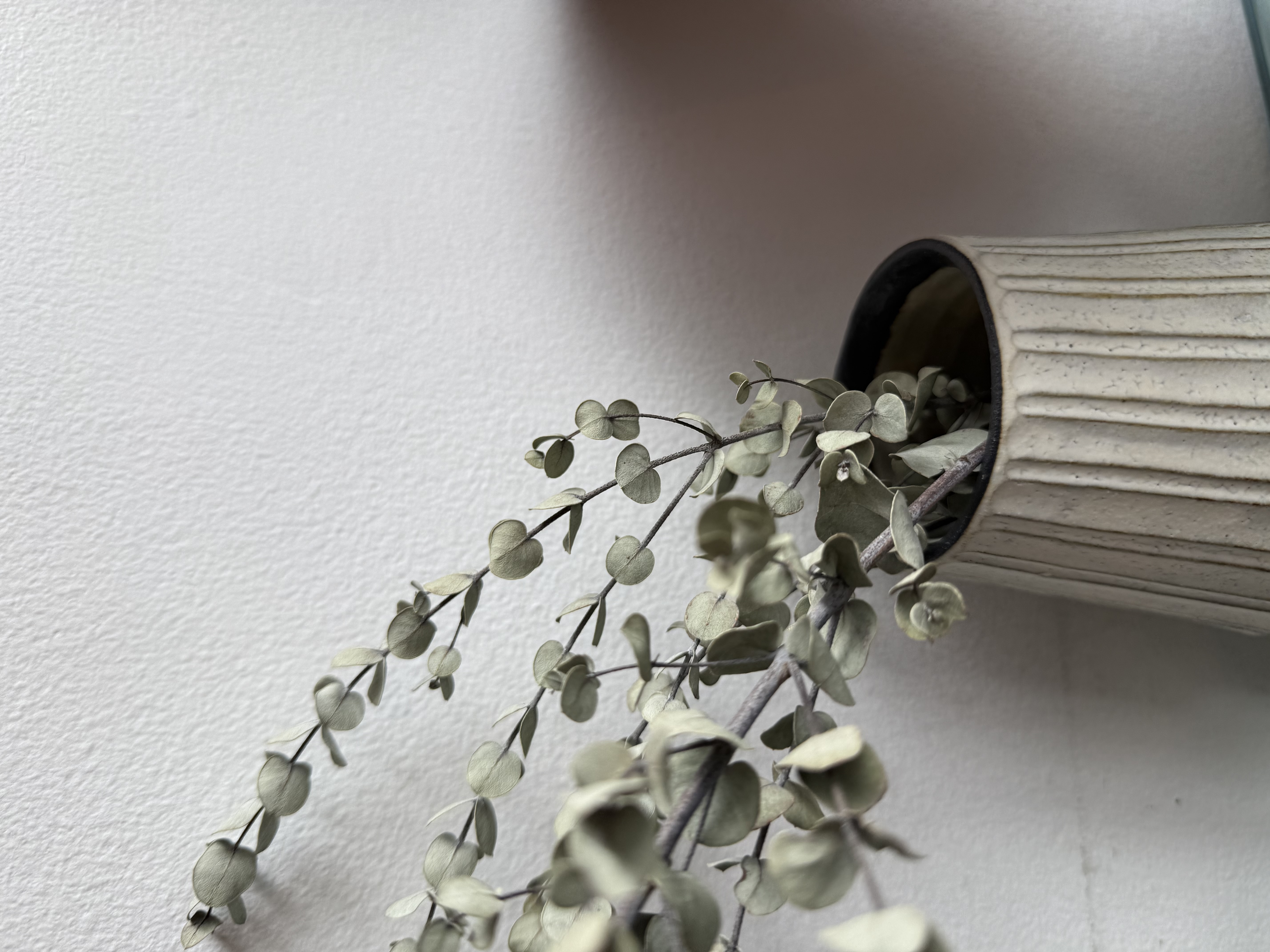 コスメで自衛してるオンナ