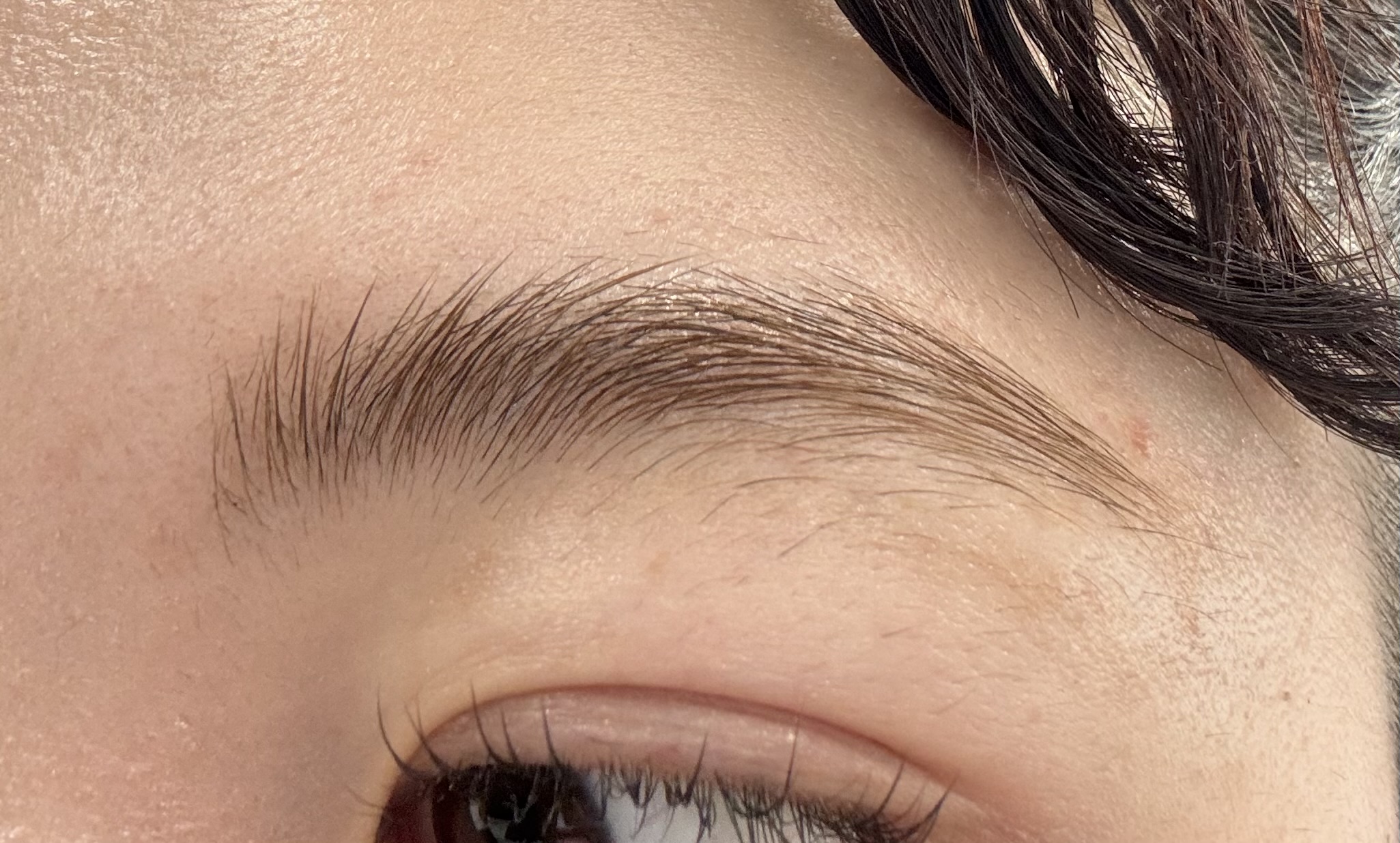 眉毛迷子の救世主