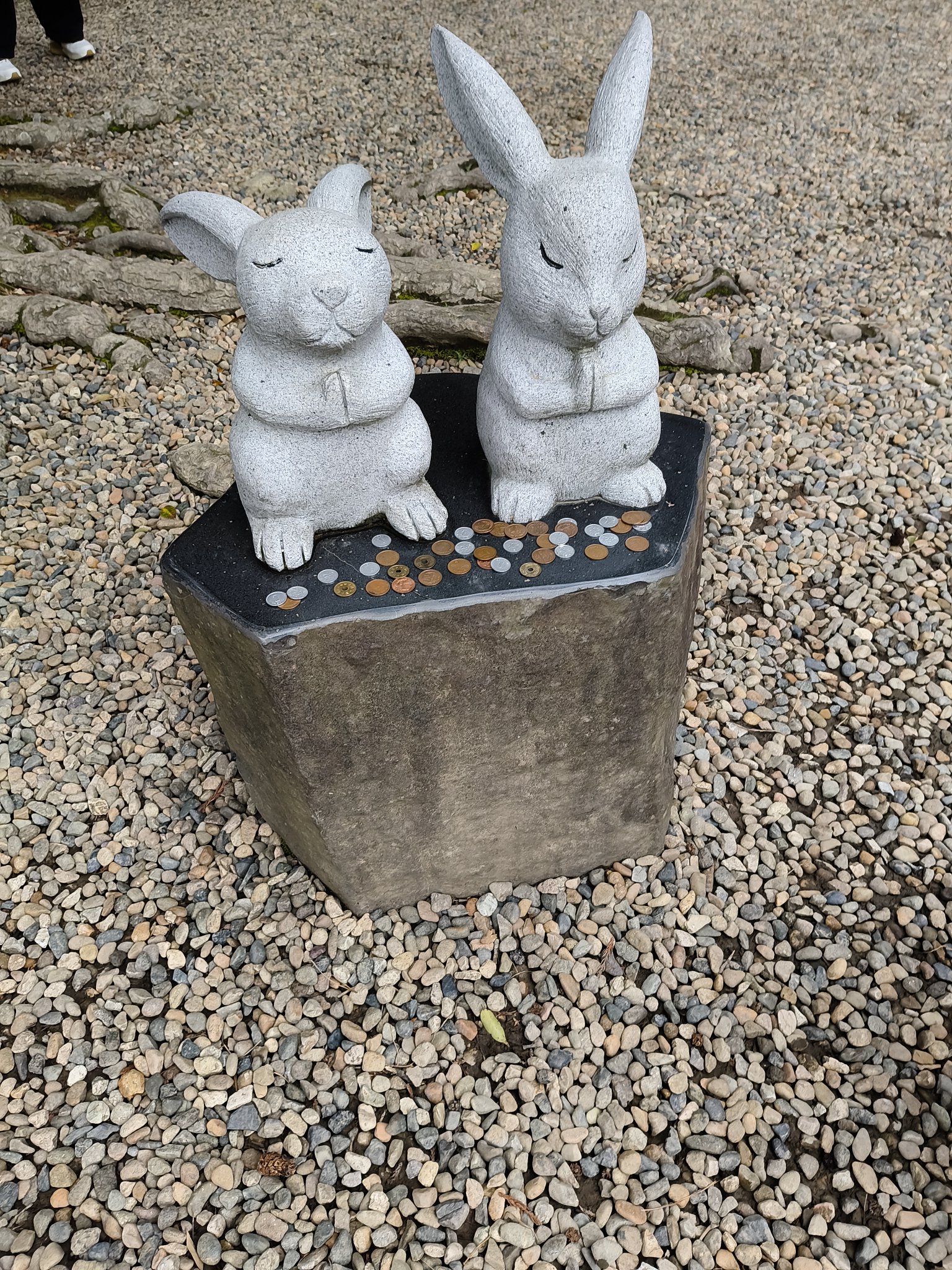 みっちゃんちび