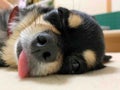 あかね*フォローお返しします*