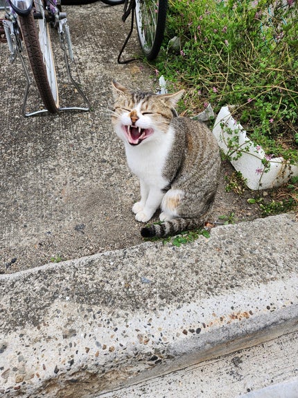 髪さらさらフォロバ100