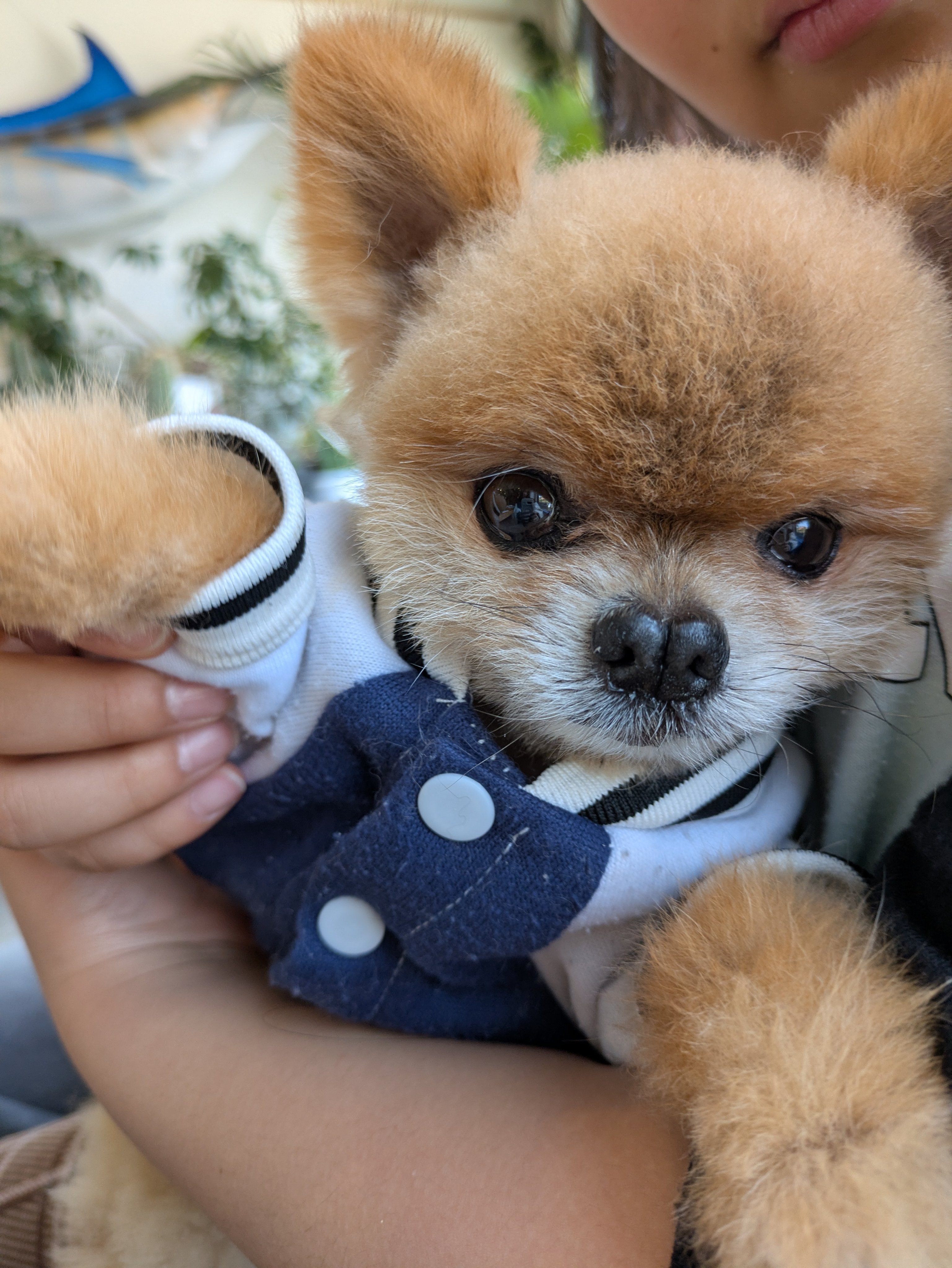 りん🐕️フォロバ100