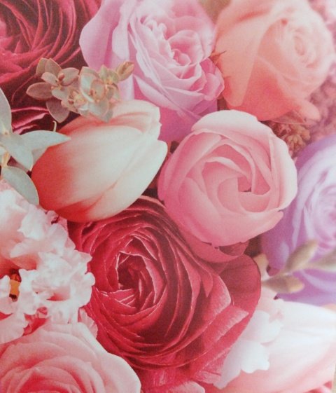 まき☆フォロバ