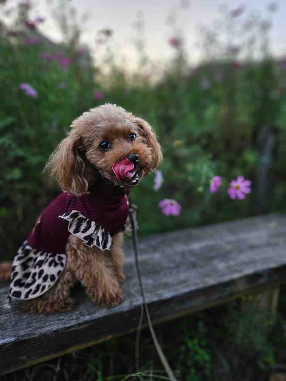 いつだって自分の美を追求します！！