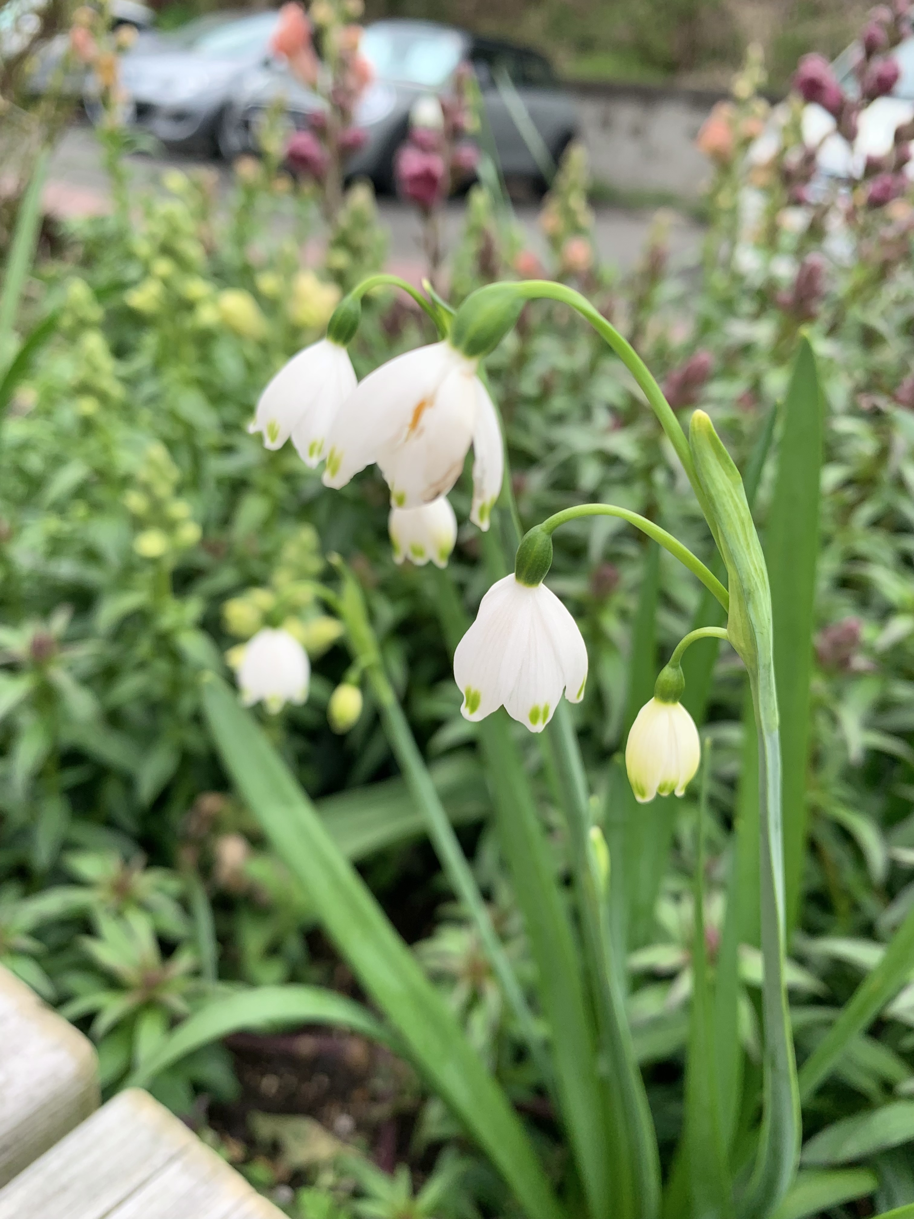 主婦🤍敏感肌（11月まで投稿頻度落ちます）