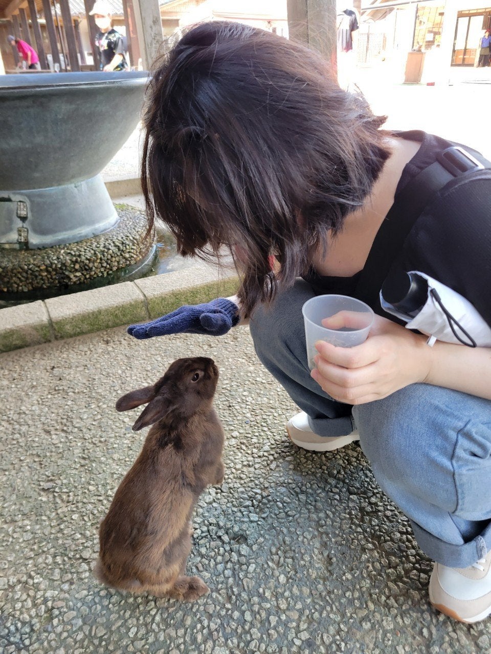 試してみた】リバイタル リバイタル エクストラリッチクリーム 試してみた】リバイタル リバイタル エクストラリッチクリーム
