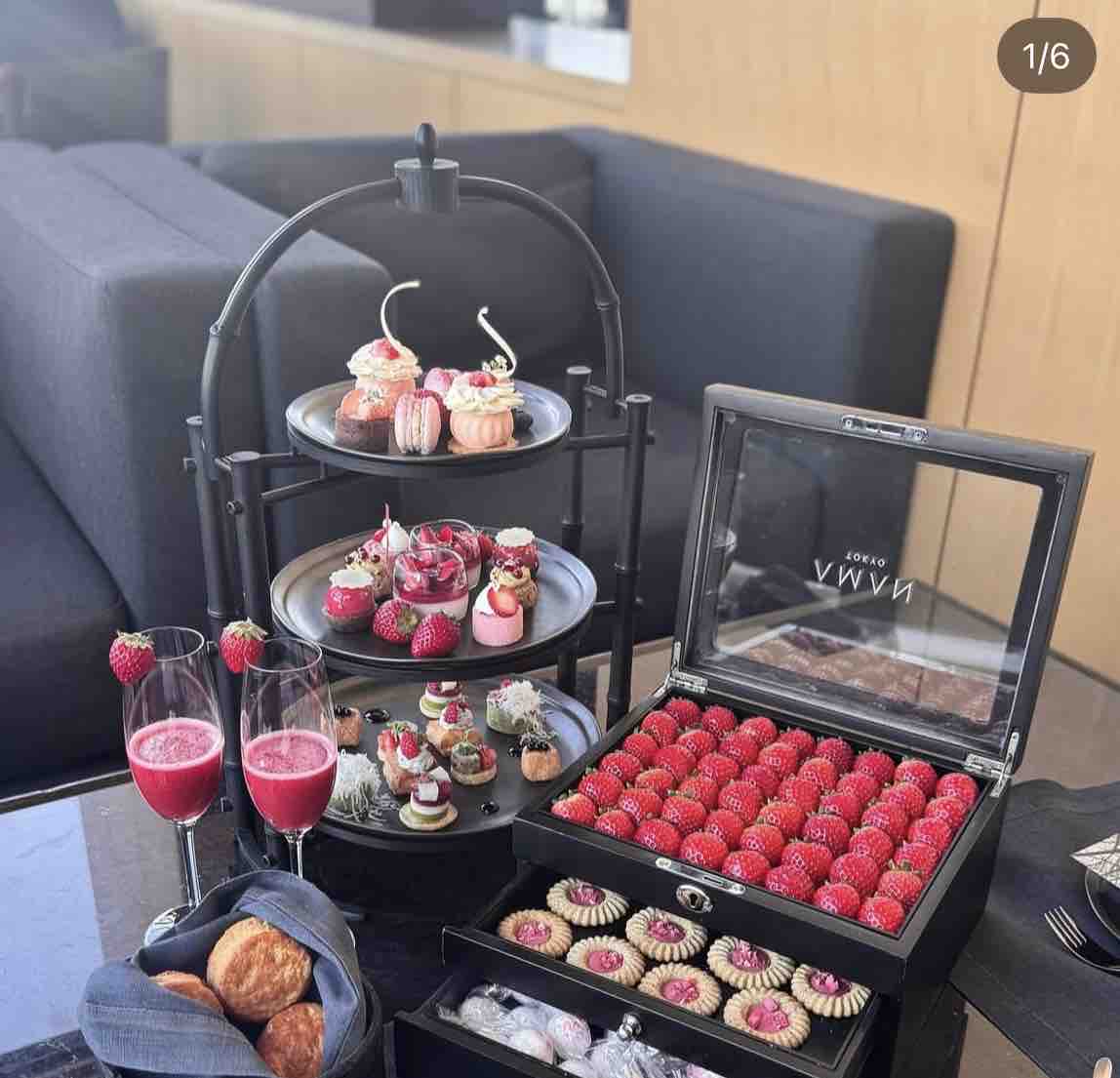 さんご🥀フォロバ