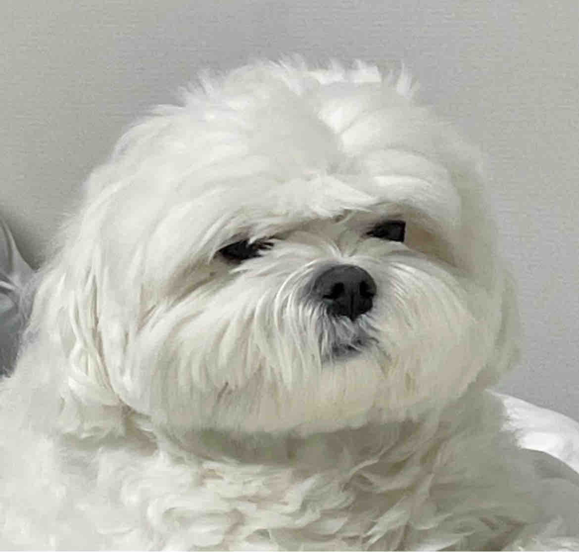 さくら｜元美容Ns｜ﾌｫﾛﾊﾞ