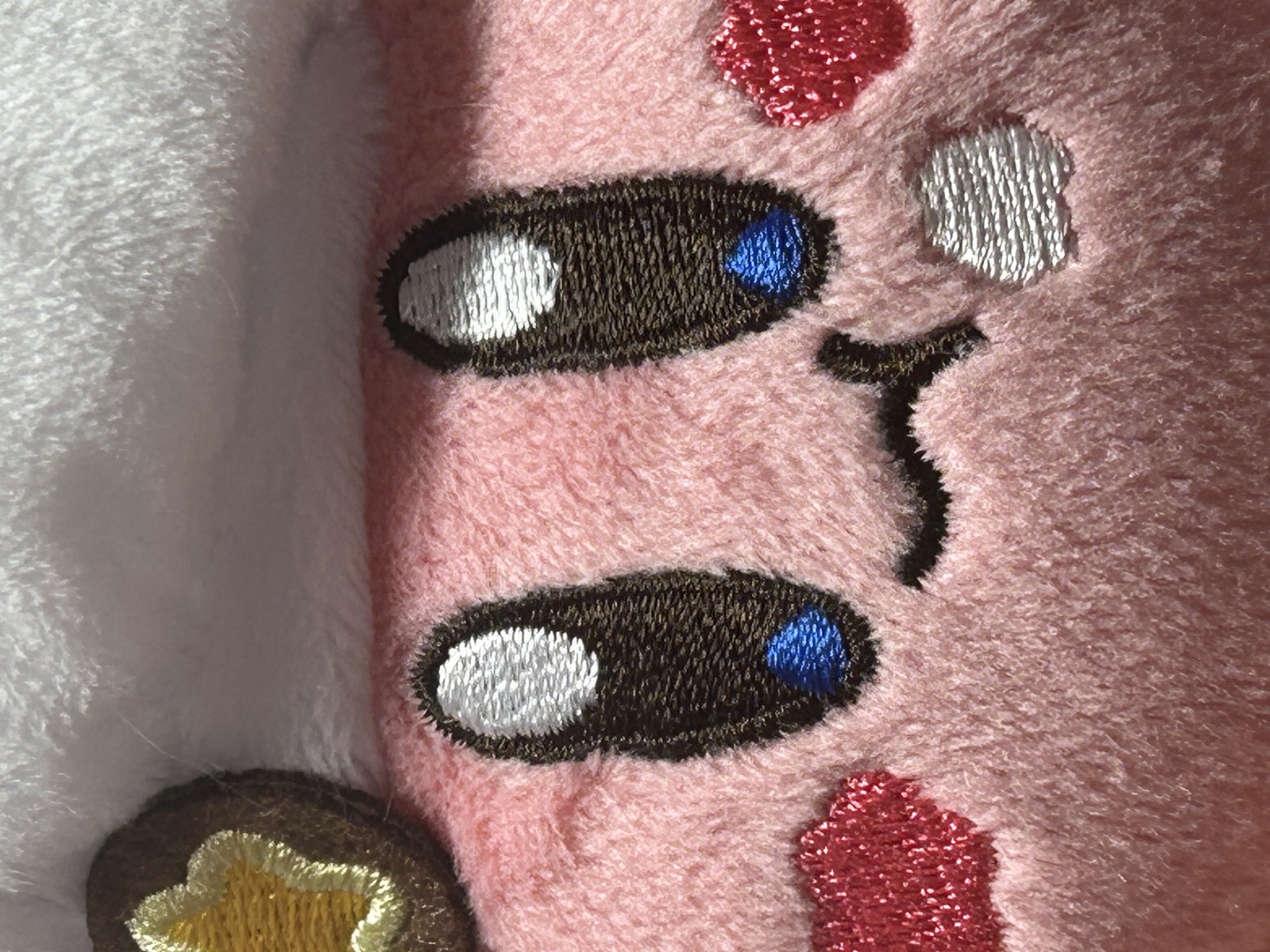 ずぼら金欠学生ゆあ🐹⸝꙳