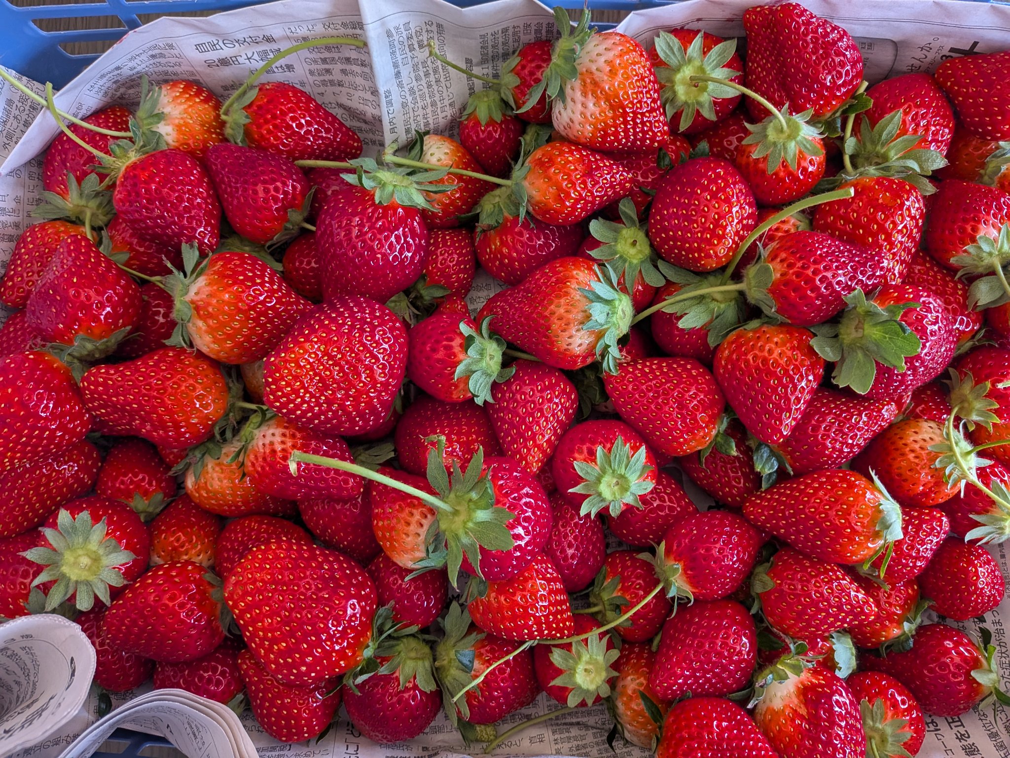 rie🔰フォロバ100 