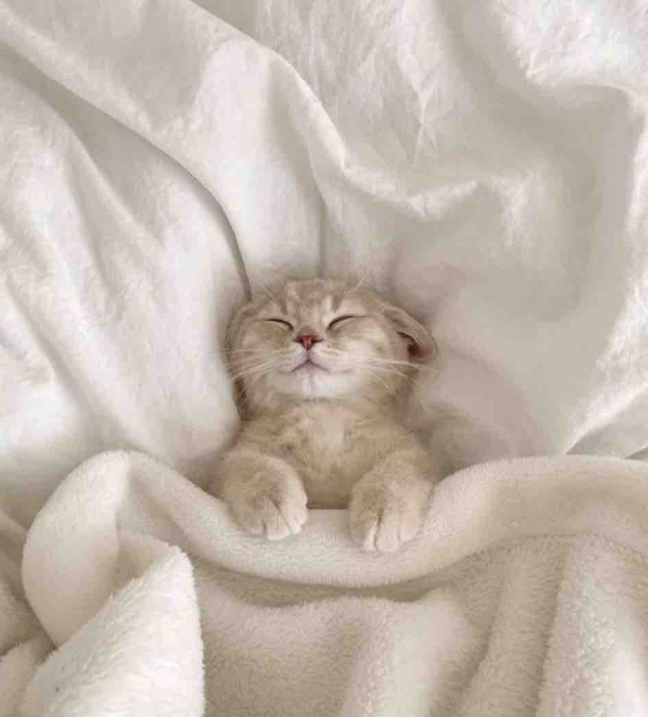 ぴっぴ♡フォロバ100%