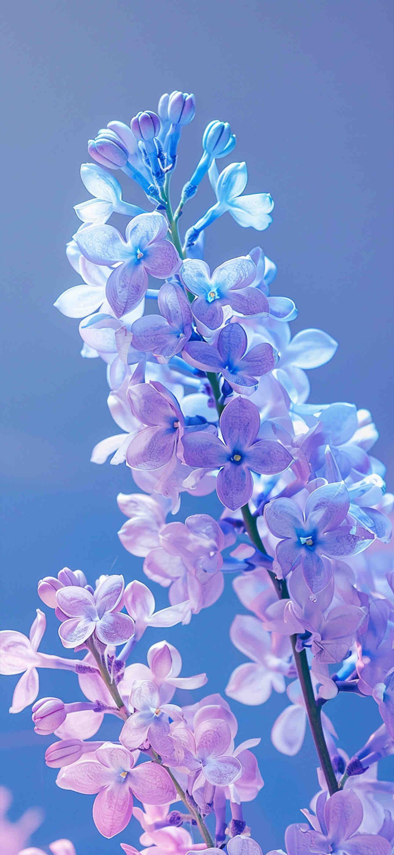 愛華𓂃໒꒱︎︎︎︎.·