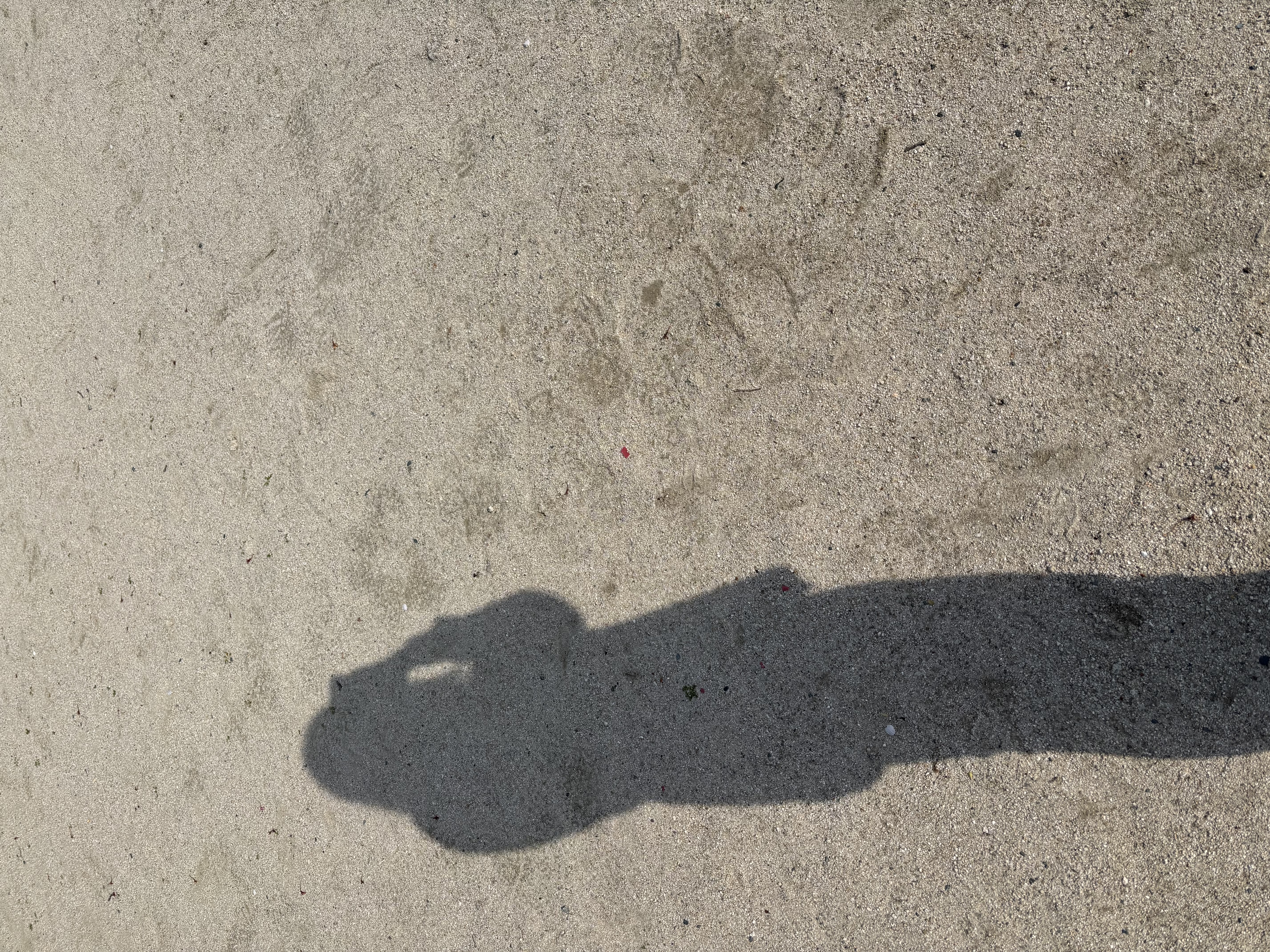 ぺこ🐻フォロバ100