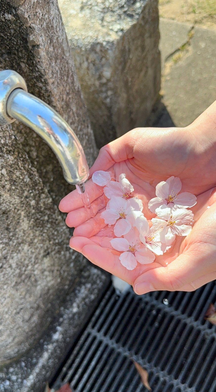 ぺんたごん/コスプレ