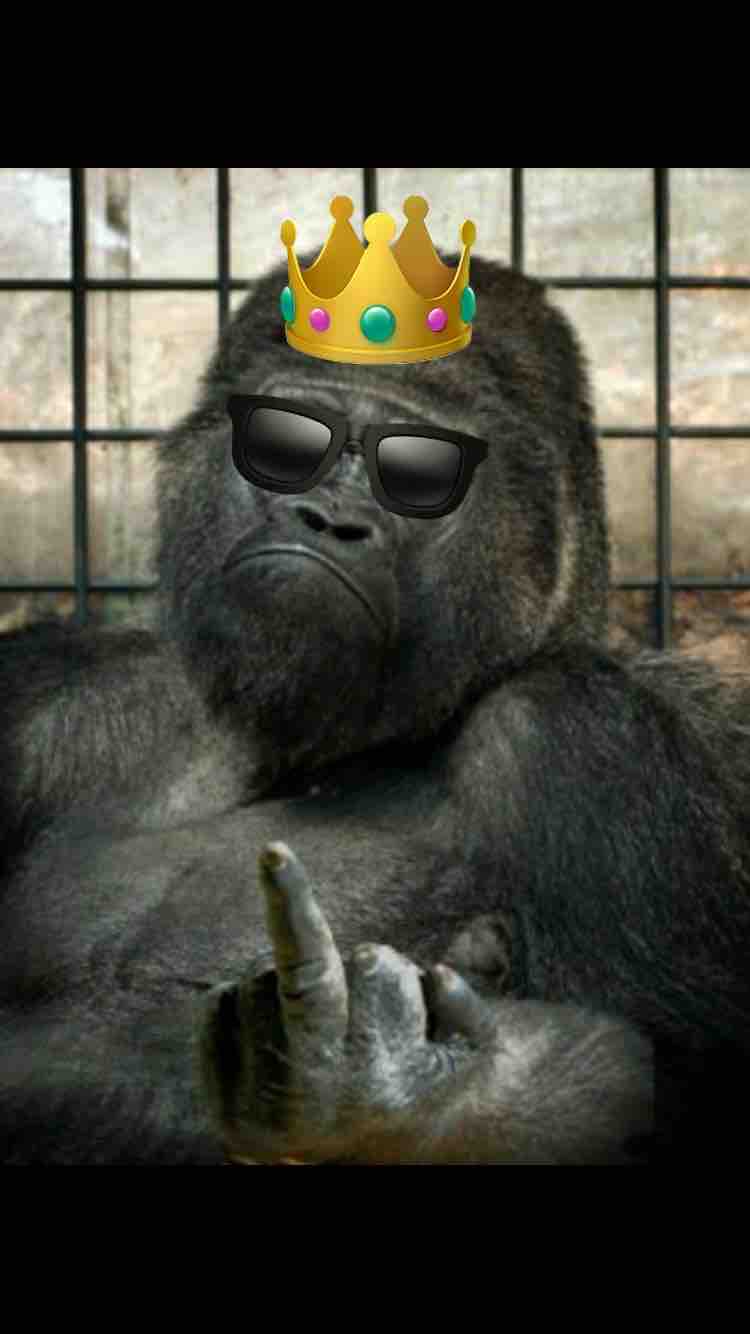 あかりんごりらちゃん🍎🦍