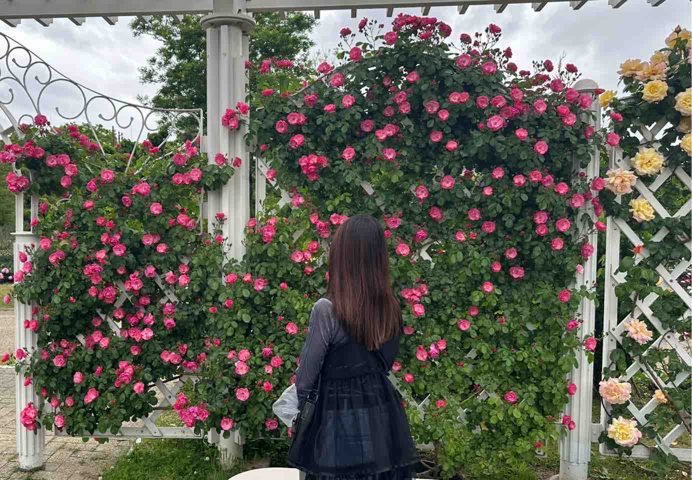 はなみゅん🍒フォロバします！