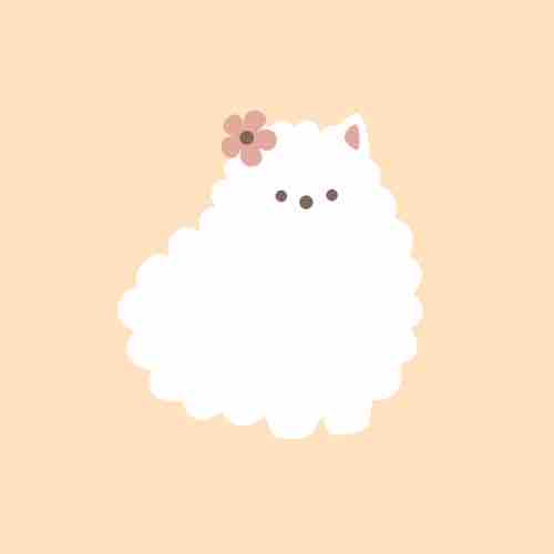 🌼おはな🌼 フォロバ◎