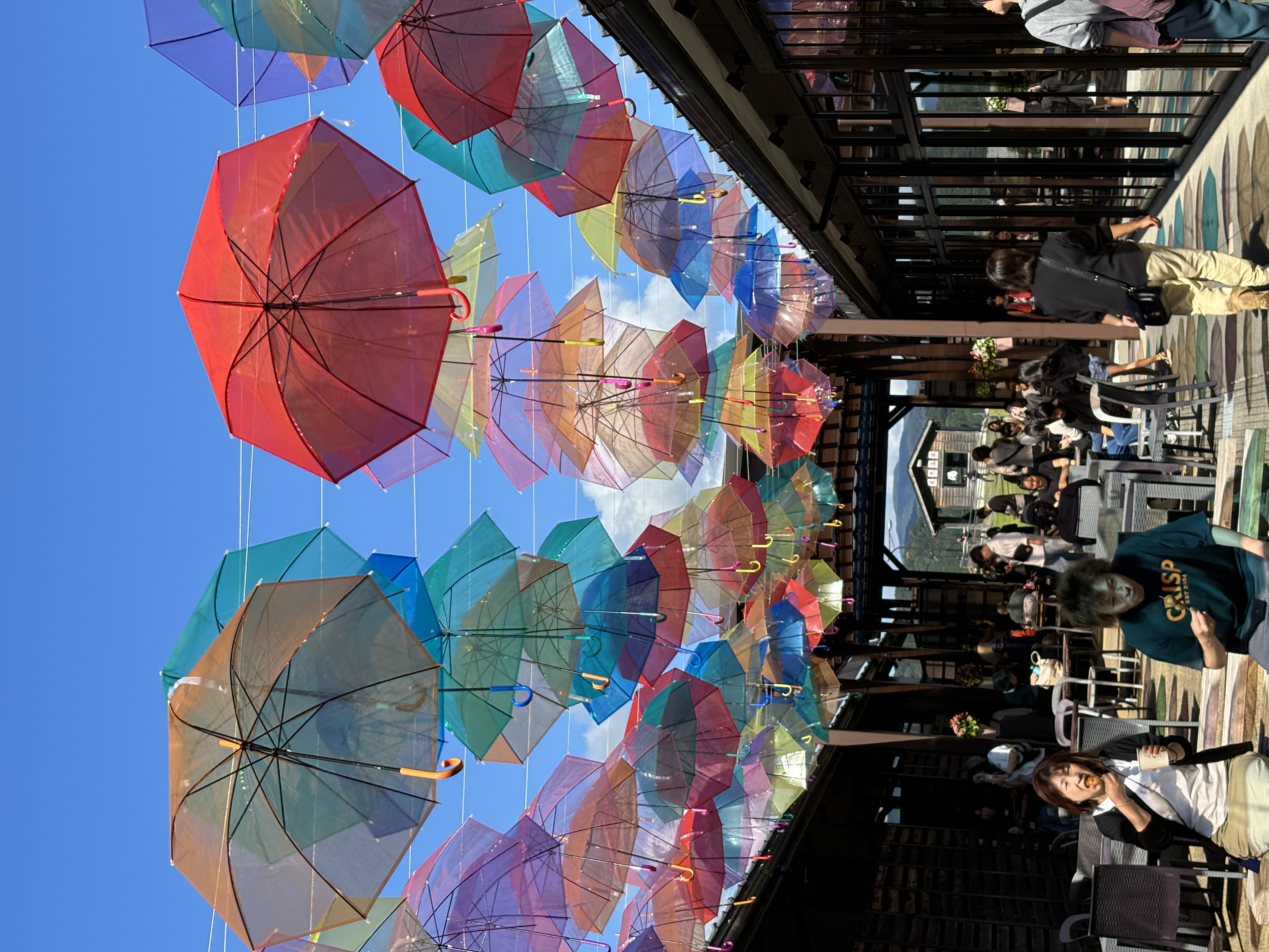 ルト🎧🩶 ̖́-  