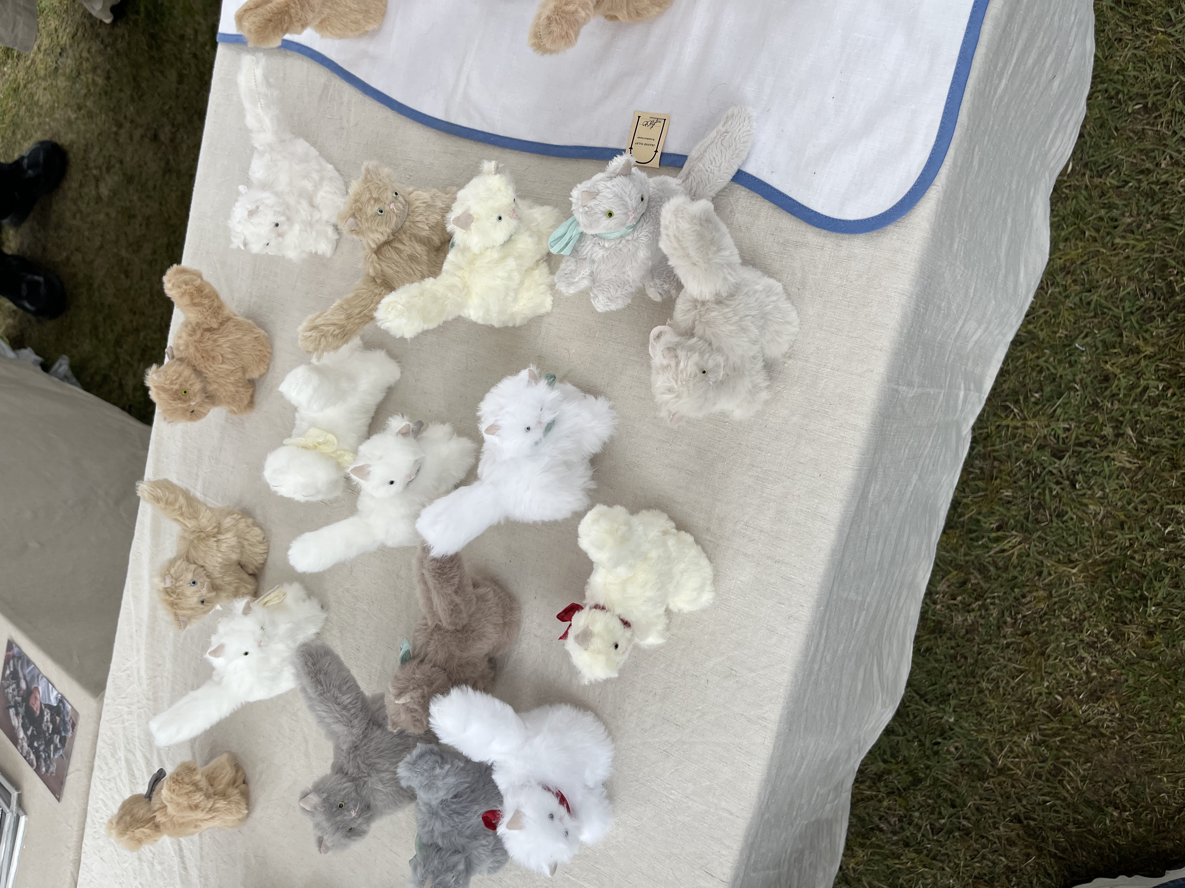 mai /ブルベ夏 フォロバ○