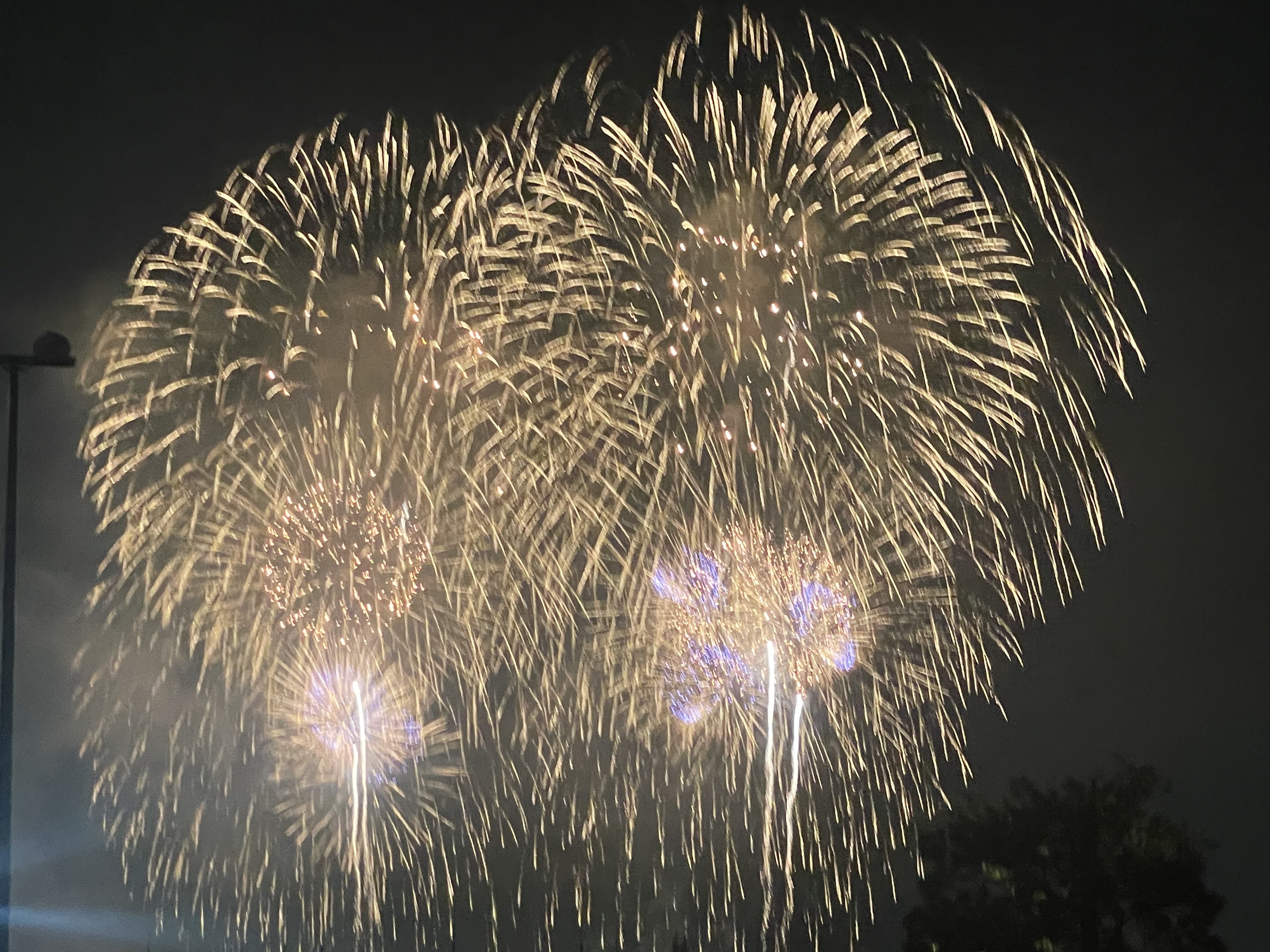 ふわふわ☆ふわり