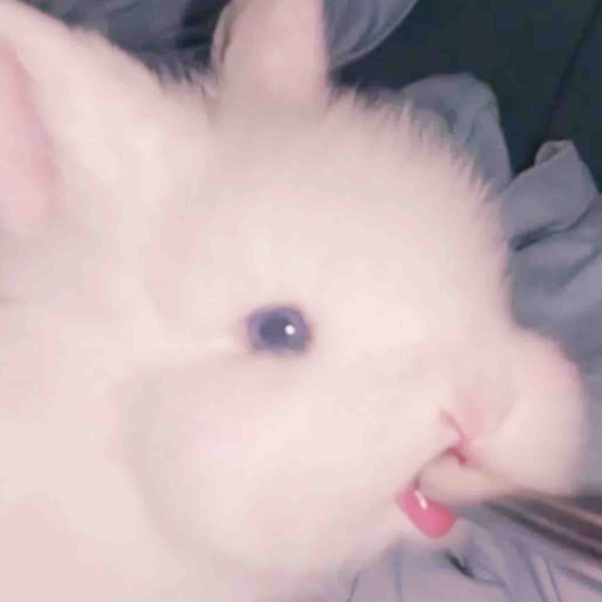 ʚ 🎀うさぎ🎀 ɞ@フォロバ✊🏻