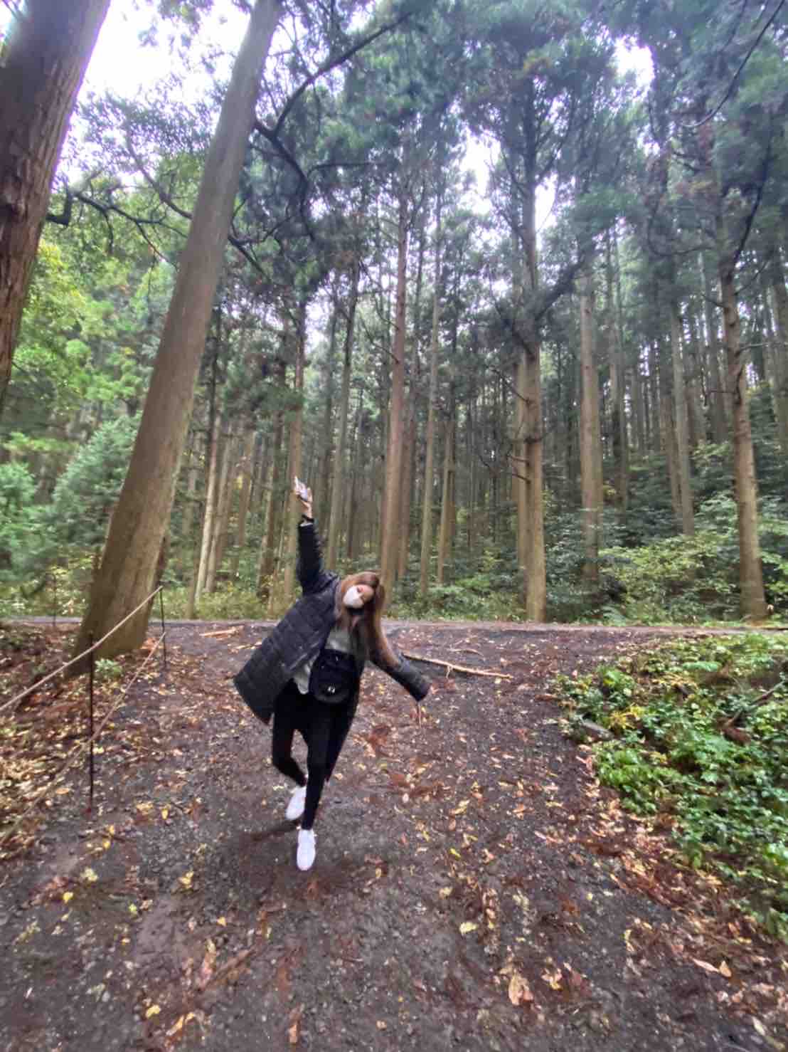 きまぐれみーさん