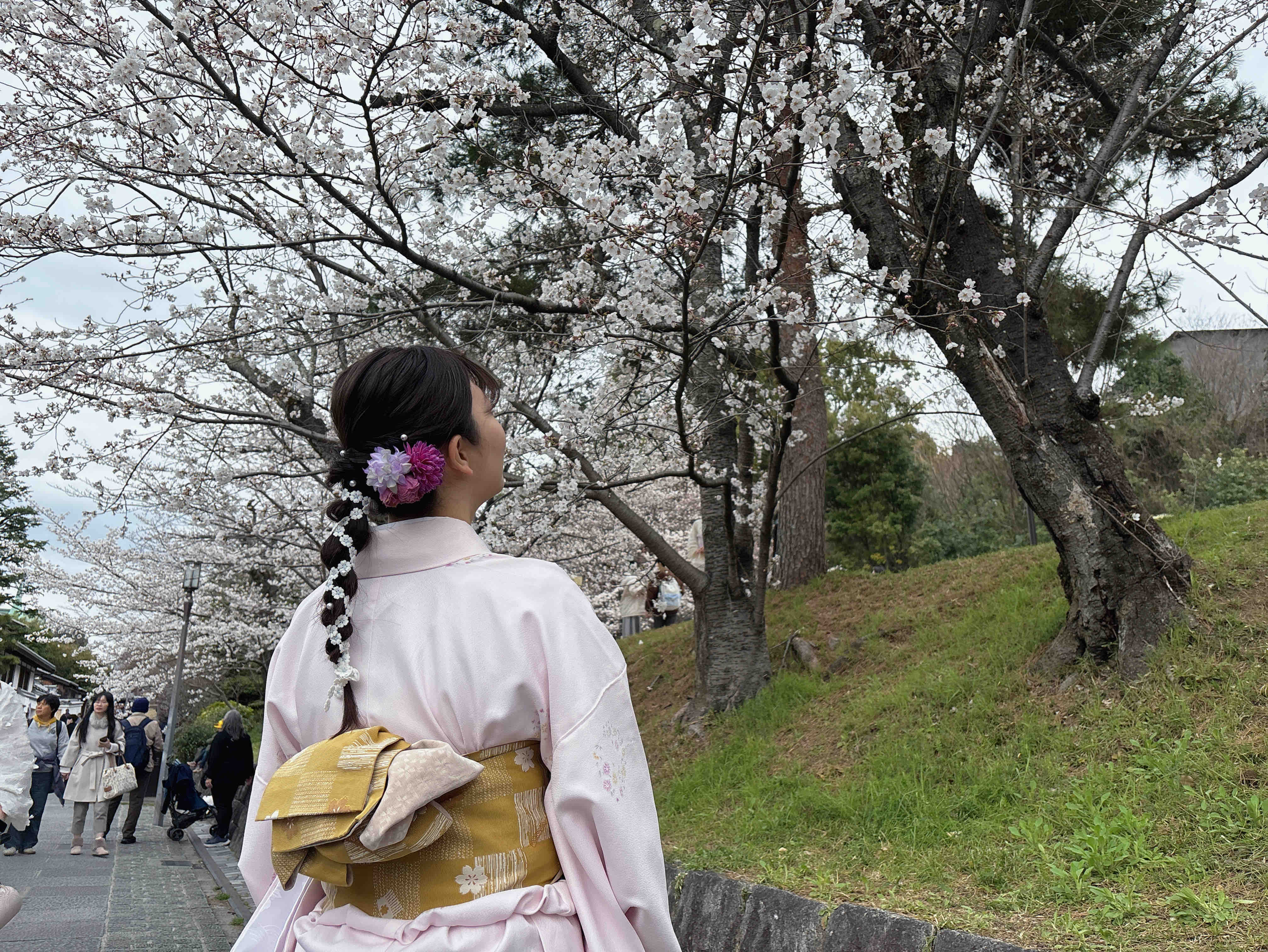 🌼anzu🌼フォロバ🐈